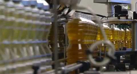 Existen aceites vegetales que pueden ser dañinos para la salud