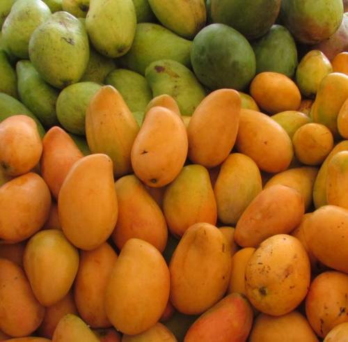 Feria del Mango Baní 2017