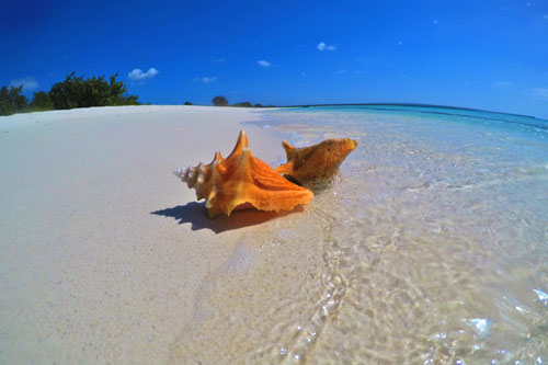 Bahía de las Águilas paraíso en la región sur de la República Dominicana