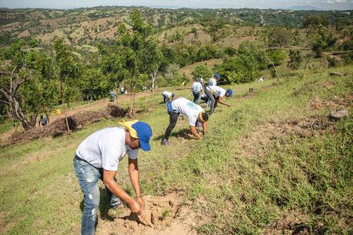 Empleados de AFP Popular reforestan en Santiago