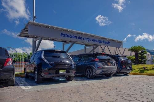 El Popular es el primer banco certificado como Organización Carbono-Neutral