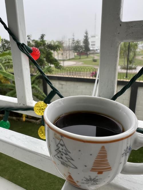 Explorando la Magia Matutina: La Neblina y la Dulce Brisa en Santo Domingo
