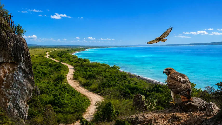 Bahía de Las Águilas dentro del Parque Nacional Jaragua