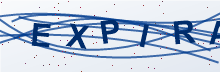Security verification code